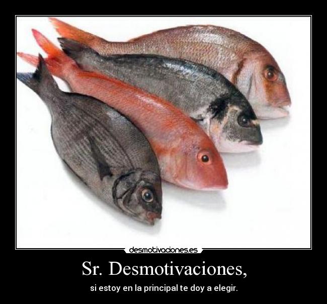Sr. Desmotivaciones, - si estoy en la principal te doy a elegir.