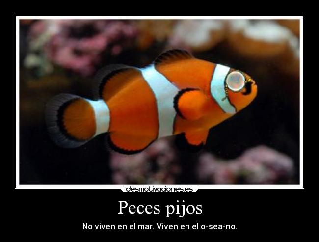 Peces pijos - No viven en el mar. Viven en el o-sea-no.