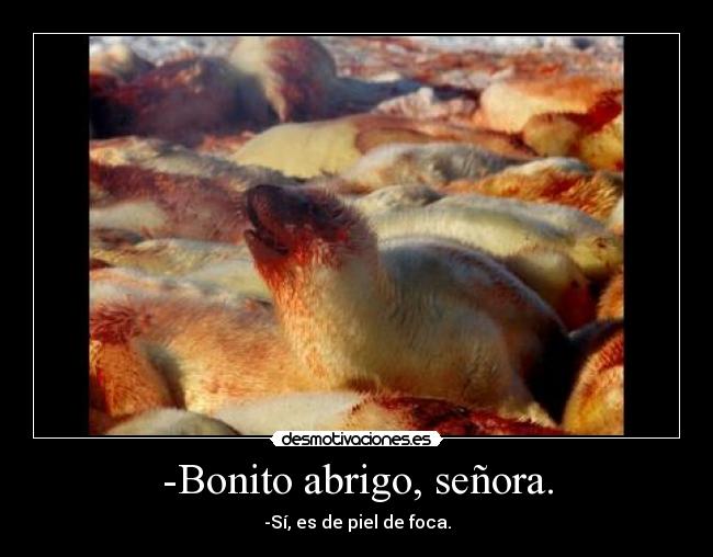 -Bonito abrigo, señora. -