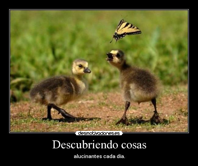 Descubriendo cosas -