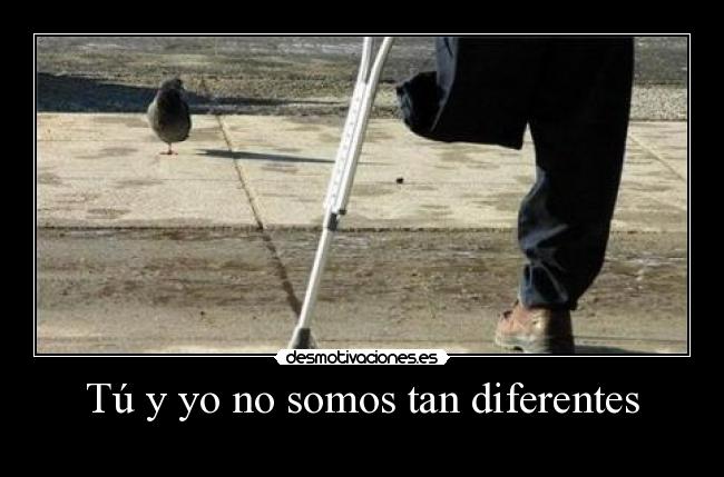 Tú y yo no somos tan diferentes - 