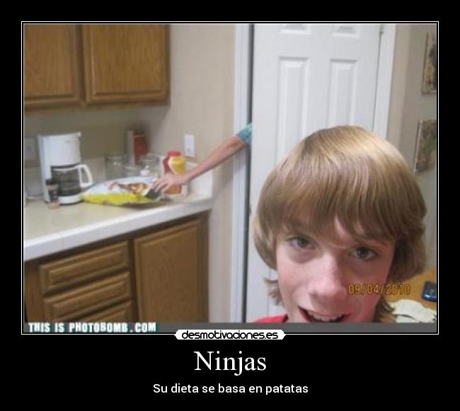 Ninjas - 