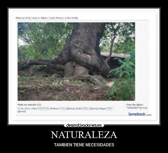 NATURALEZA -