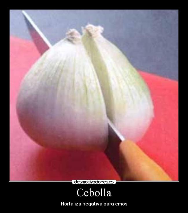 Cebolla - Hortaliza negativa para emos