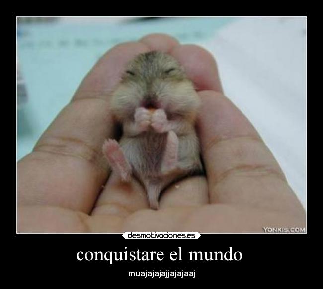 conquistare el mundo -
