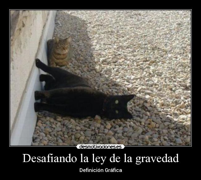 Desafiando la ley de la gravedad - Definición Gráfica