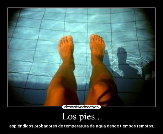 Los pies... - espléndidos probadores de temperatura de agua desde tiempos remotos.