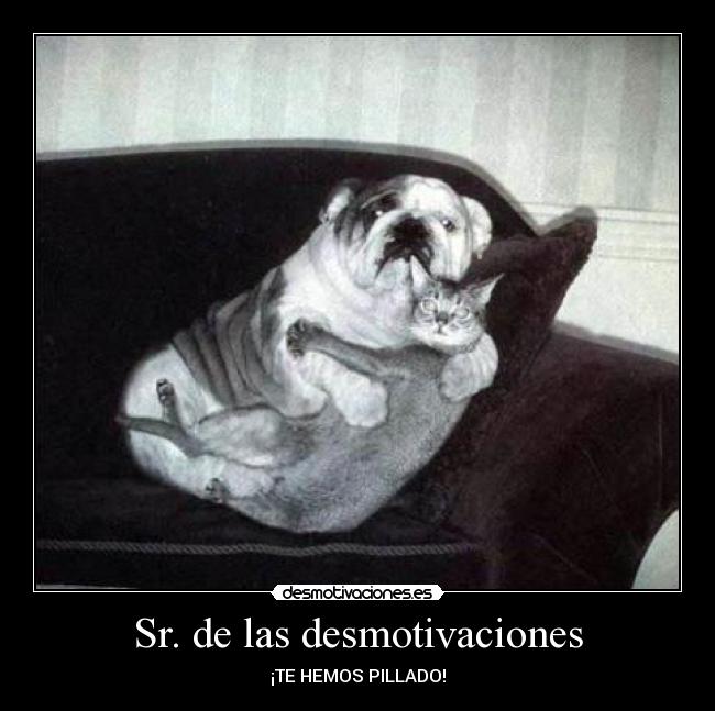 Sr. de las desmotivaciones -