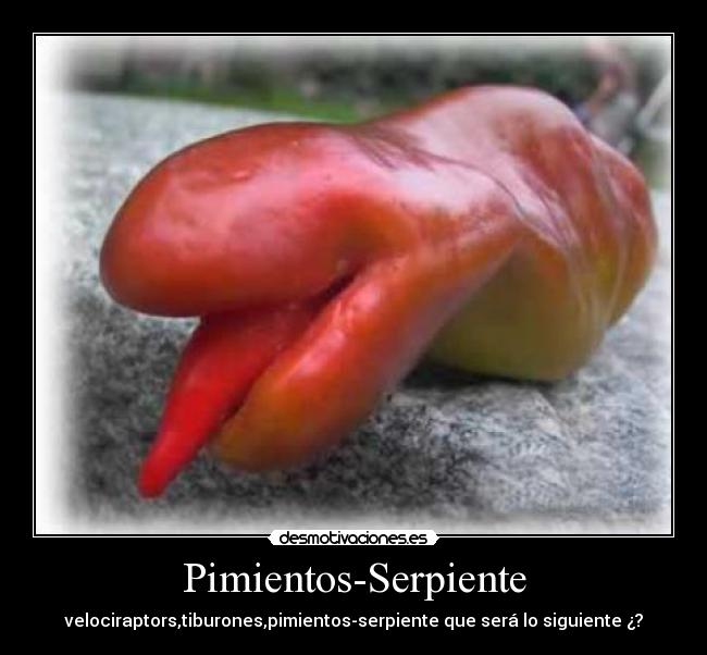 Pimientos-Serpiente -