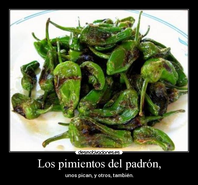 carteles pimientos del padron desmotivaciones