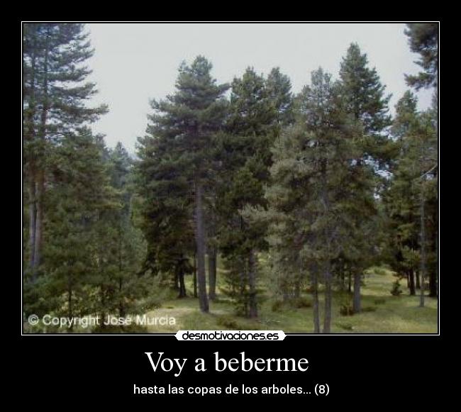 carteles beber rap desmotivaciones