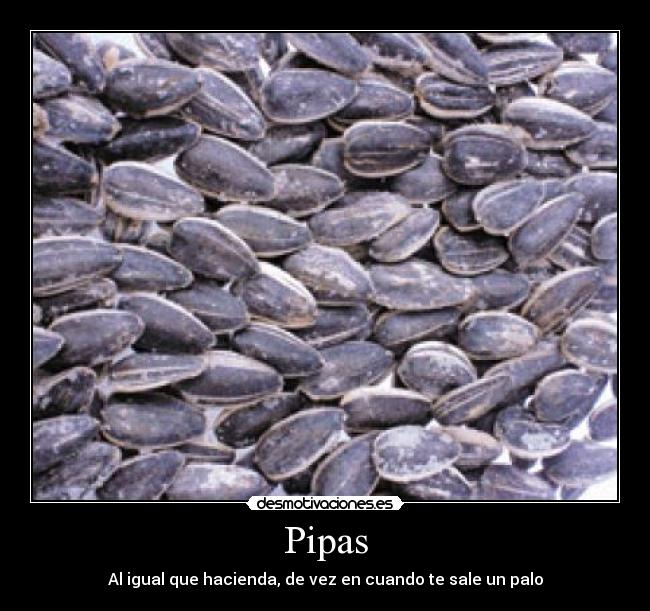 Pipas -