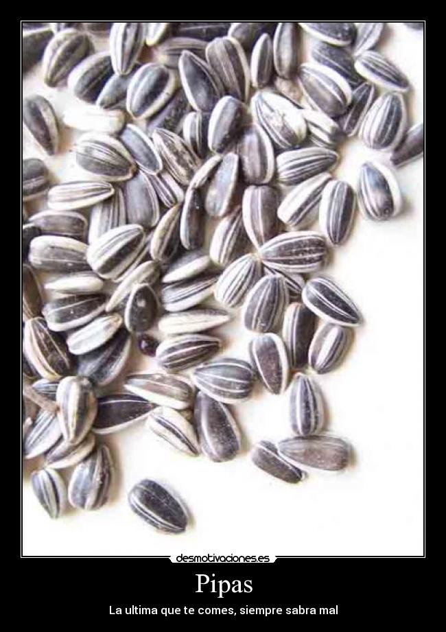 carteles pipas rancias utima pipa desmotivaciones