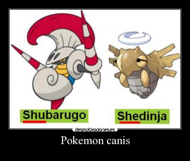 Pokemon canis -