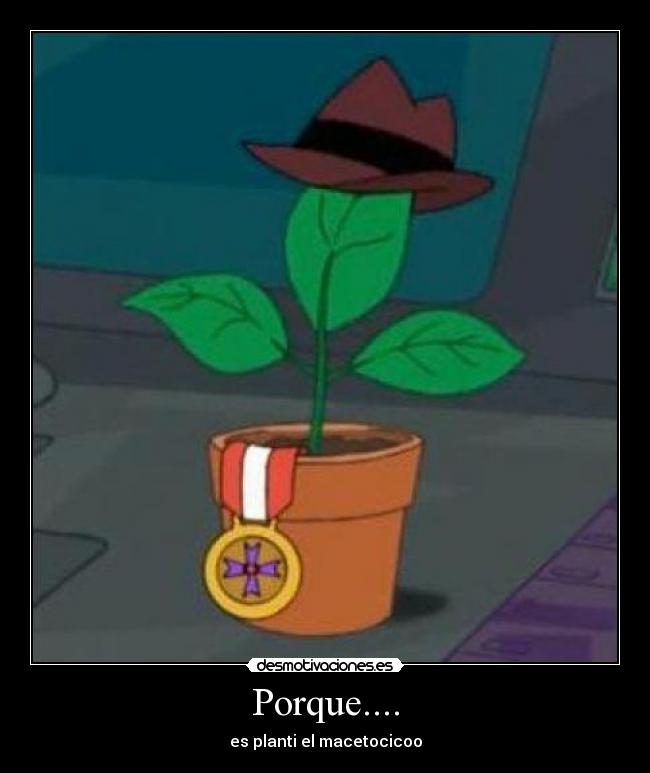 Porque.... - es planti el macetocicoo