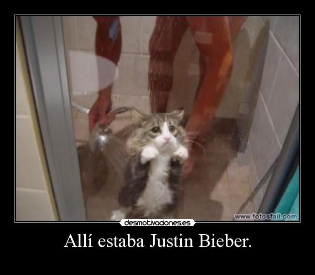 carteles verdades desmotivaciones