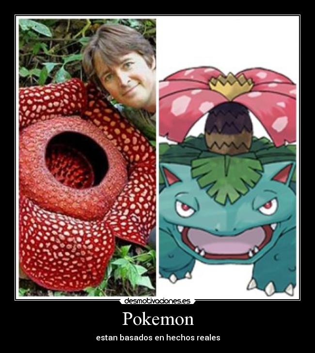 Pokemon -