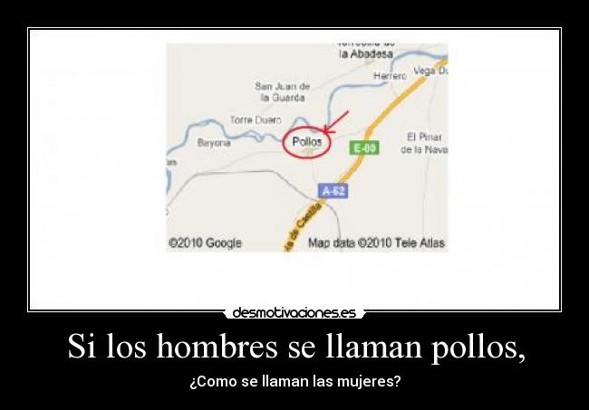 Si los hombres se llaman pollos, - ¿Como se llaman las mujeres?