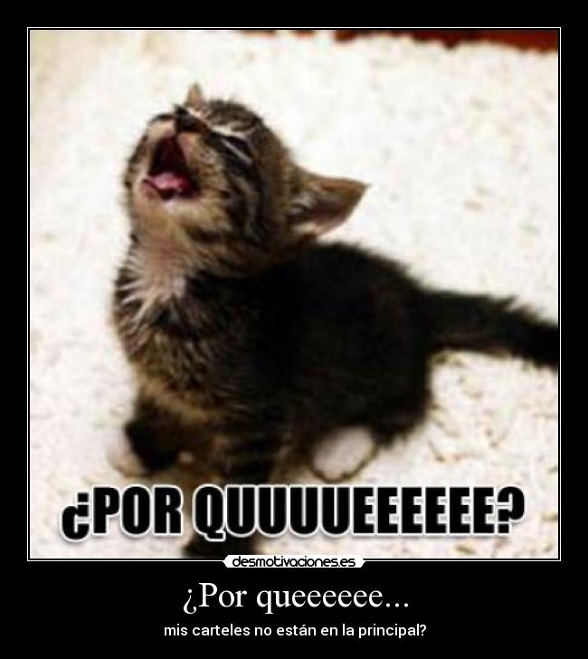 ¿Por queeeeee... - mis carteles no están en la principal?