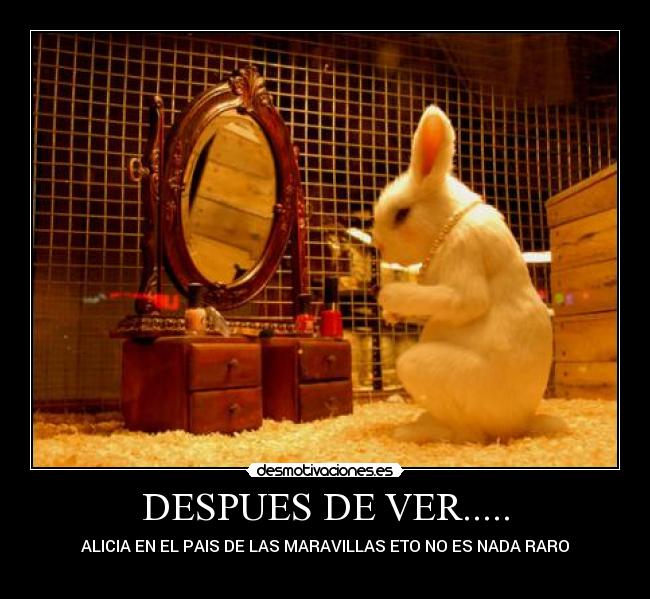 DESPUES DE VER..... - ALICIA EN EL PAIS DE LAS MARAVILLAS ETO NO ES NADA RARO