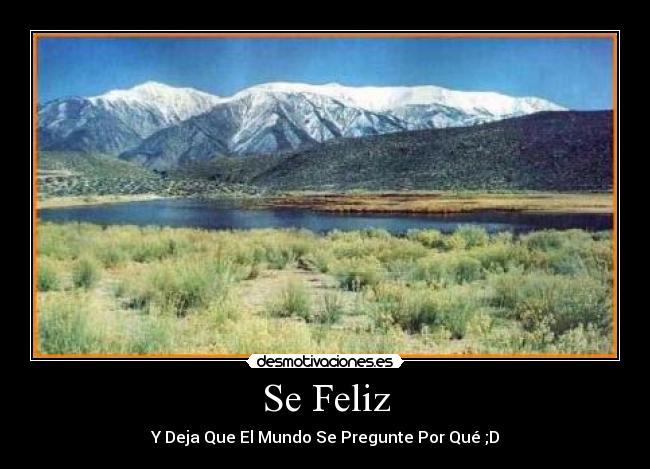 carteles felicidad interes desmotivaciones