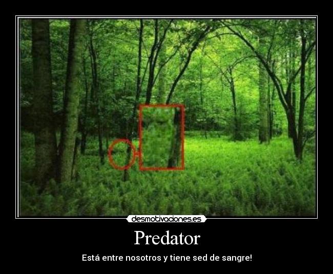 Predator -