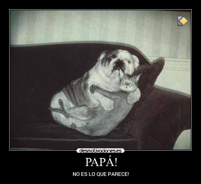 PAPÁ! - NO ES LO QUE PARECE!