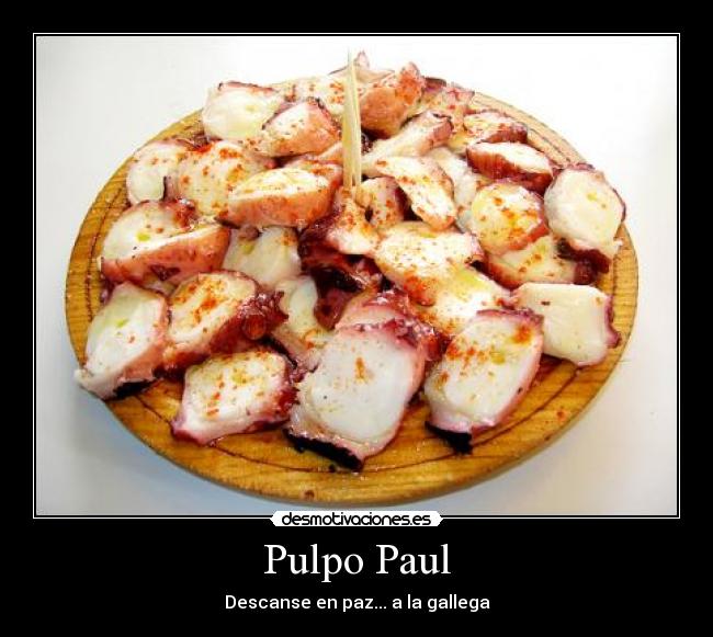 Pulpo Paul - Descanse en paz... a la gallega