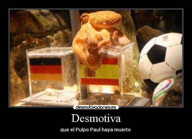 carteles pulpo paul desmotivaciones