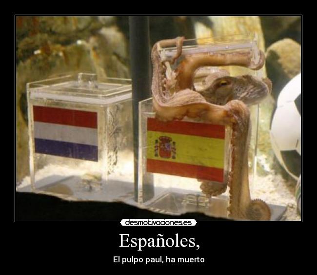 Españoles, -