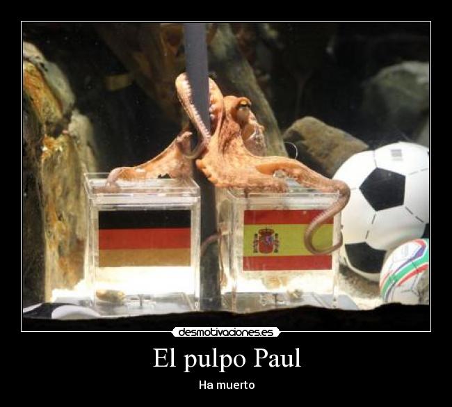 El pulpo Paul - Ha muerto