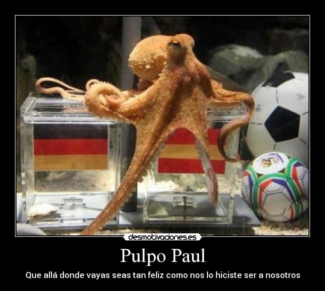 Pulpo Paul - 