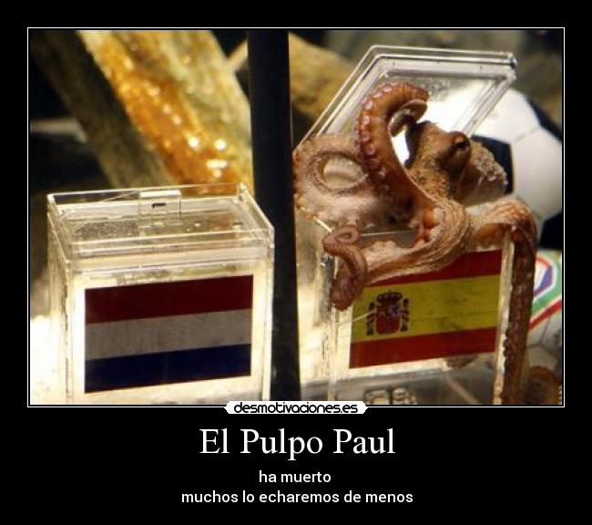 El Pulpo Paul - ha muerto 
muchos lo echaremos de menos
