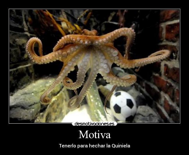 Motiva -