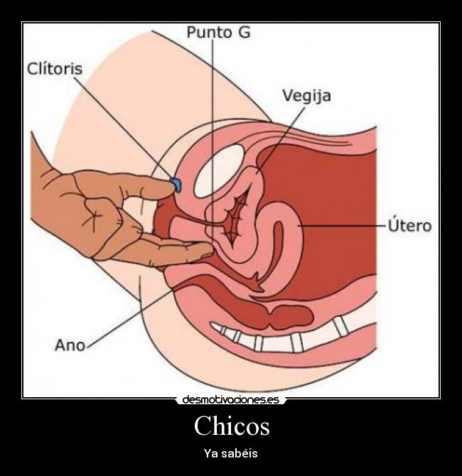 Chicos - Ya sabéis