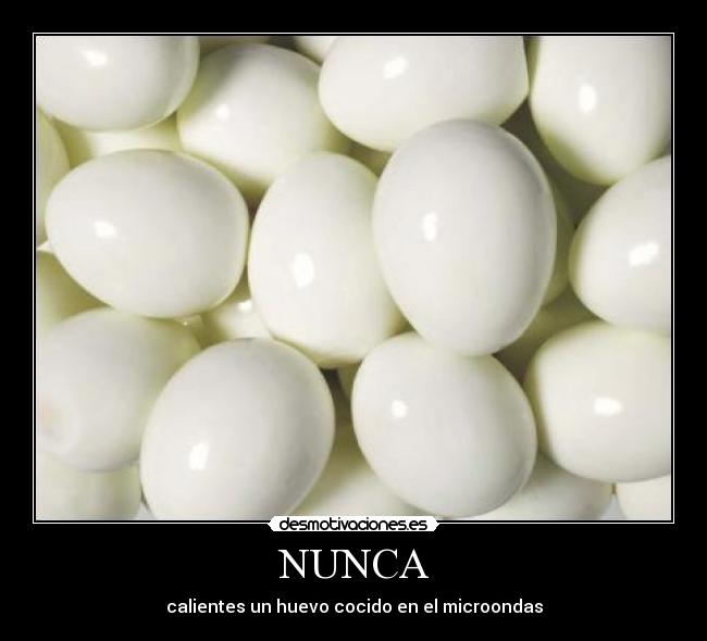 NUNCA - 