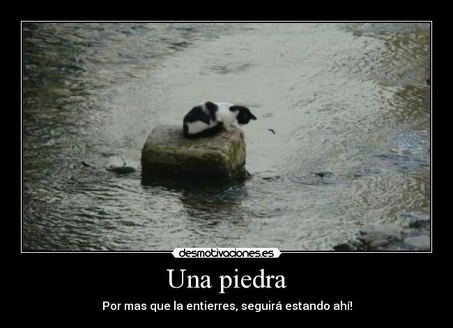 Una piedra -