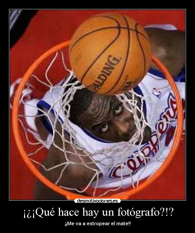 ¡¿¡Qué hace hay un fotógrafo?!? -