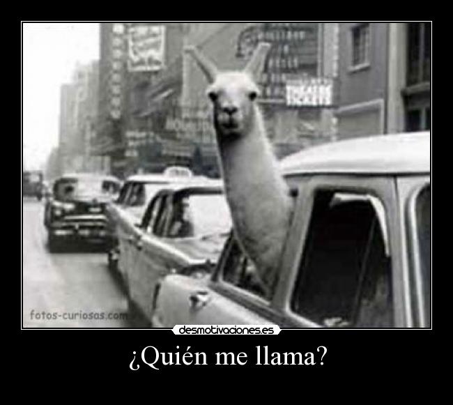 ¿Quién me llama? - 