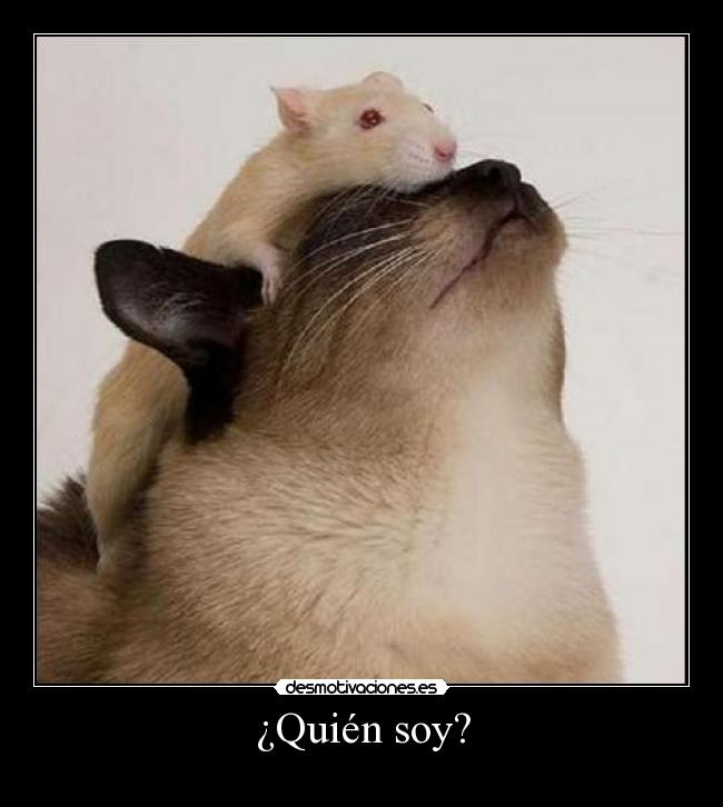 carteles tierno desmotivaciones