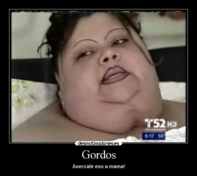 Gordos - 