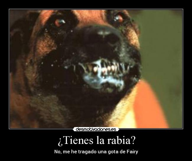 ¿Tienes la rabia? -