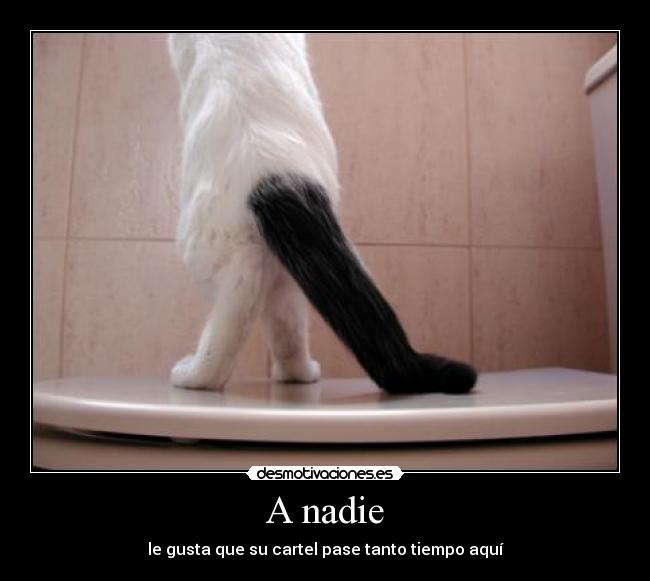 A nadie -