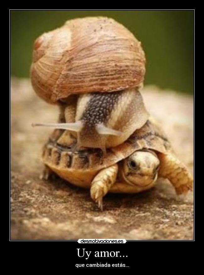 Uy amor... - que cambiada estás...