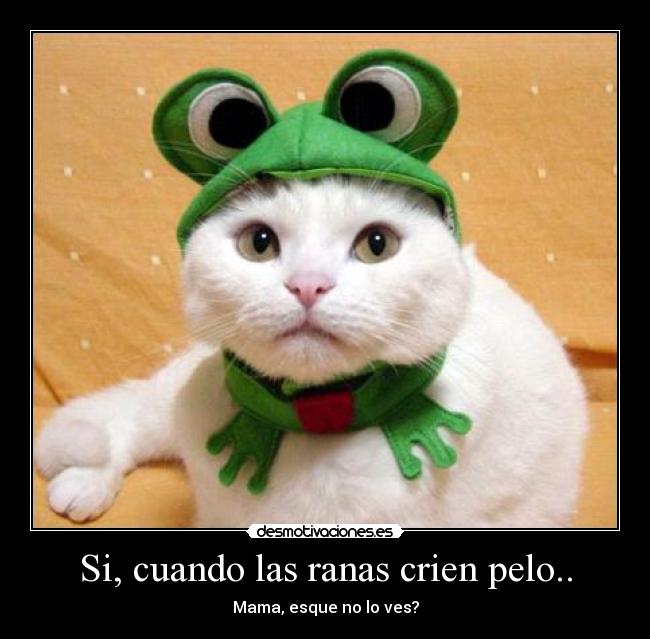 Si, cuando las ranas crien pelo.. -