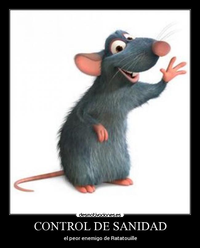 carteles ratatouille sanidad ratas desmotivaciones