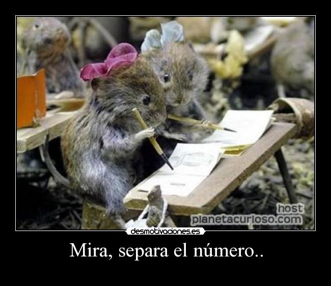 carteles monada escuela desmotivaciones