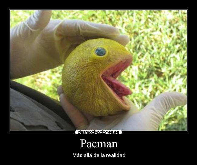 Pacman -
