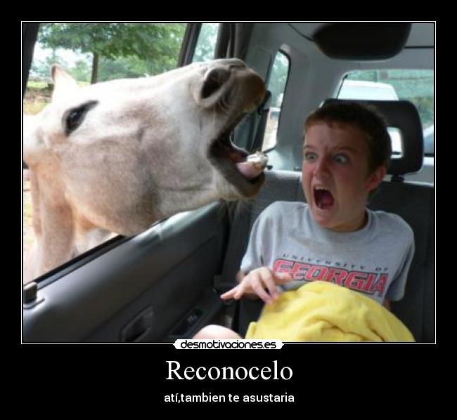 Reconocelo - atí,tambien te asustaria