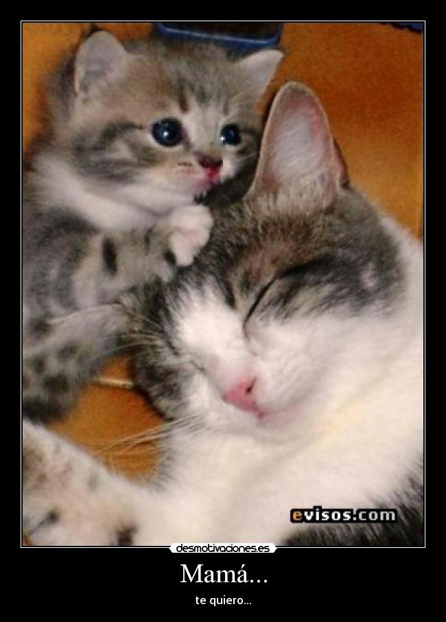 Mamá... - 
